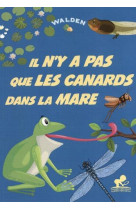 Il n'y a pas que les canards dans la mare