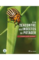 A la rencontre des insectes du potager