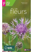Gros plan sur les fleurs