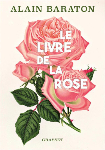 LE LIVRE DE LA ROSE - BARATON ALAIN - GRASSET LE LIVRE DE LA ROSE - BARATON ALAIN - GRASSET
