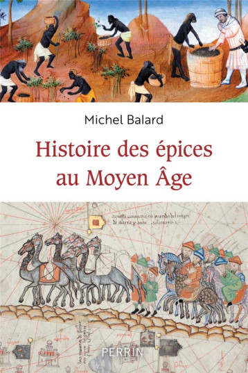 HISTOIRE DES EPICES AU MOYEN-AGE - BALARD MICHEL - PERRIN HISTOIRE DES EPICES AU MOYEN-AGE - BALARD MICHEL - PERRIN
