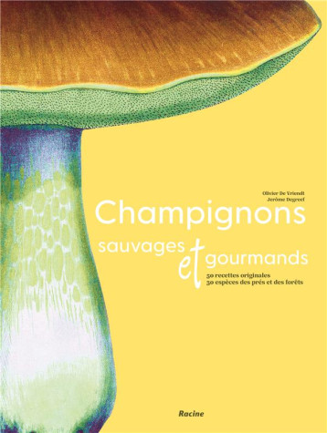 CHAMPIGNONS SAUVAGES ET GOURMANDS - 50 RECETTES ORIGINALES - 30 ESPECES DES PRES ET DES FORETS - DEVRIENDT/DEGREEF - RACINE BE CHAMPIGNONS SAUVAGES ET GOURMANDS - 50 RECETTES ORIGINALES - 30 ESPECES DES PRES ET DES FORETS - DEVRIENDT/DEGREEF - RACINE BE