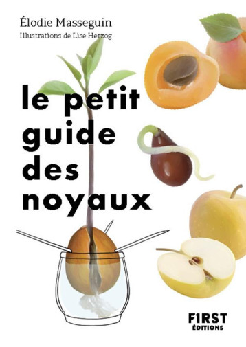 LE PETIT GUIDE DES NOYAUX - MASSEGUIN/HERZOG - FIRST LE PETIT GUIDE DES NOYAUX - MASSEGUIN/HERZOG - FIRST