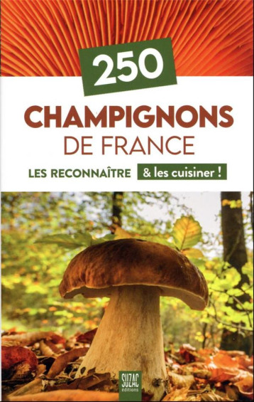 250 CHAMPIGNONS DE FRANCE - LES RECONNAITRE & LES CUISINER ! - COLLECTIF - DU LUMIGNON 250 CHAMPIGNONS DE FRANCE - LES RECONNAITRE & LES CUISINER ! - COLLECTIF - DU LUMIGNON