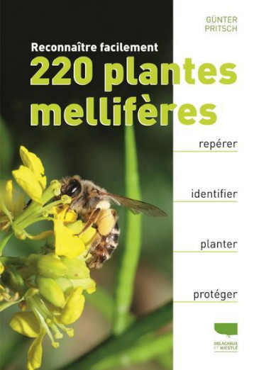 RECONNAITRE FACILEMENT 220 PLANTES MELLIFERES - PRITSCH GUNTER - DELACHAUX RECONNAITRE FACILEMENT 220 PLANTES MELLIFERES - PRITSCH GUNTER - DELACHAUX