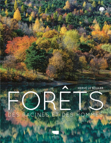 FORETS - DES RACINES ET DES HOMMES - LE BOULER HERVE - DELACHAUX FORETS - DES RACINES ET DES HOMMES - LE BOULER HERVE - DELACHAUX