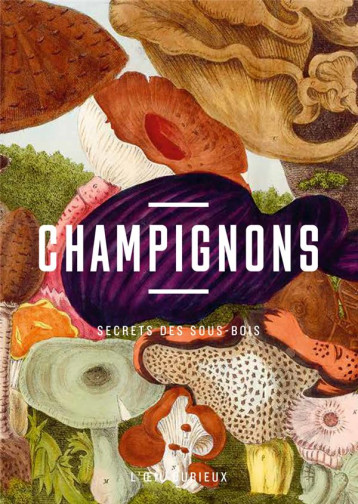 CHAMPIGNONS - SECRETS DES SOUS-BOIS - MENAPACE LUC - CTHS EDITION CHAMPIGNONS - SECRETS DES SOUS-BOIS - MENAPACE LUC - CTHS EDITION