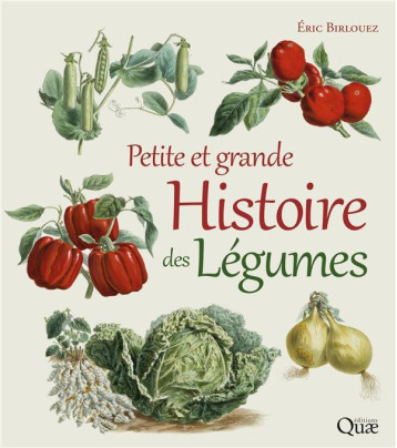 PETITE ET GRANDE HISTOIRE DES LEGUMES - BIRLOUEZ ERIC - QUAE PETITE ET GRANDE HISTOIRE DES LEGUMES - BIRLOUEZ ERIC - QUAE
