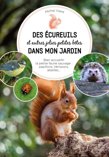 Des écureuils dans mon jardin - Michel Viard - LAROUSSE Des écureuils dans mon jardin - Michel Viard - LAROUSSE