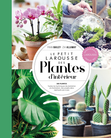 Petit Larousse des plantes d'intérieur - NP - Fran Bailey - LAROUSSE Petit Larousse des plantes d'intérieur - NP - Fran Bailey - LAROUSSE