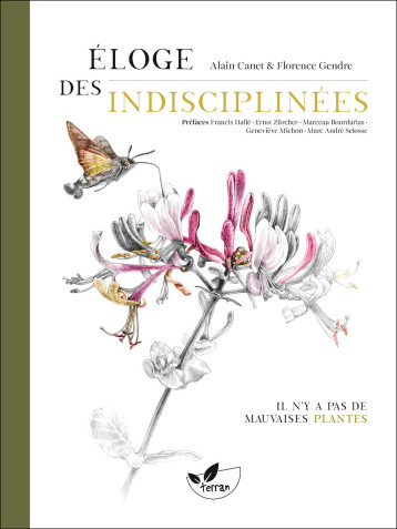 Éloge des indisciplinées - Il n’y a pas de mauvaises plantes - Alain Canet - DE TERRAN Éloge des indisciplinées - Il n’y a pas de mauvaises plantes - Alain Canet - DE TERRAN
