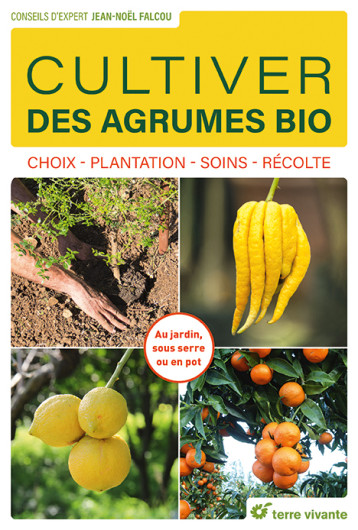 Cultiver des agrumes bio - Jean-Noël Falcou - TERRE VIVANTE Cultiver des agrumes bio - Jean-Noël Falcou - TERRE VIVANTE