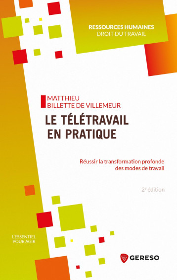 Le télétravail en pratique - Matthieu Billette de Villemeur - GERESO Le télétravail en pratique - Matthieu Billette de Villemeur - GERESO
