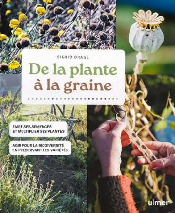 De la plante à la graine - Sigrid Drage - ULMER De la plante à la graine - Sigrid Drage - ULMER