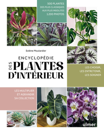 Encyclopédie des plantes d'intérieur - Solène Moutardier - ULMER Encyclopédie des plantes d'intérieur - Solène Moutardier - ULMER