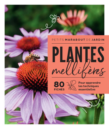 Plantes mellifères - - MARABOUT Plantes mellifères - - MARABOUT