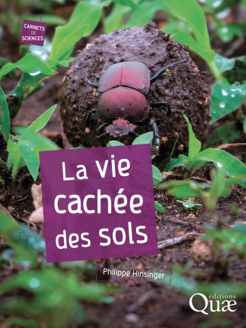 La vie cachée des sols - Philippe Hinsinger - QUAE La vie cachée des sols - Philippe Hinsinger - QUAE