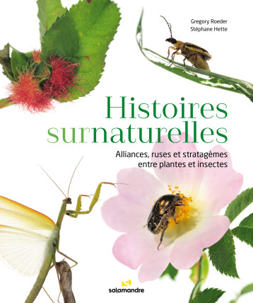 Histoires surnaturelles - Stéphane HETTE - LA SALAMANDRE Histoires surnaturelles - Stéphane HETTE - LA SALAMANDRE