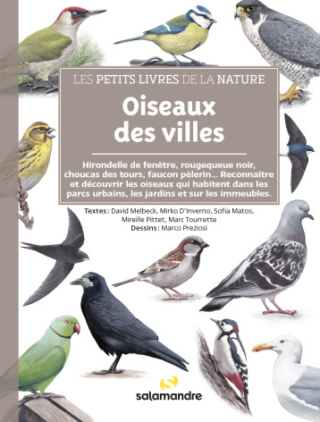 Les petits livres de la nature - Oiseaux des villes - David MELBECK - LA SALAMANDRE Les petits livres de la nature - Oiseaux des villes - David MELBECK - LA SALAMANDRE