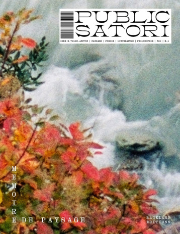 PUBLIC SATORI. - BACKLAND EDITIONS - BACKLAND PUBLIC SATORI. - BACKLAND EDITIONS - BACKLAND