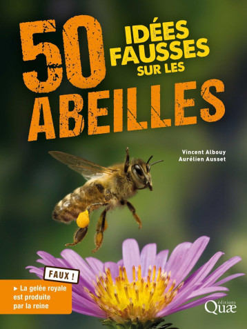 50 idées fausses sur les abeilles - Aurélien Ausset - QUAE 50 idées fausses sur les abeilles - Aurélien Ausset - QUAE