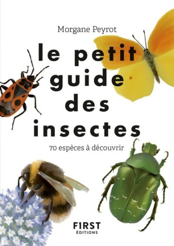 Le Petit guide des insectes - Morgane Peyrot, Morgane Peyrot - FIRST Le Petit guide des insectes - Morgane Peyrot, Morgane Peyrot - FIRST