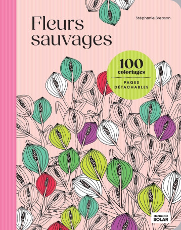 Fleurs sauvages - BREPSON STEPHANIE - SOLAR Fleurs sauvages - BREPSON STEPHANIE - SOLAR