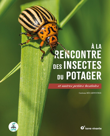 A la rencontre des insectes du potager - Corinne Decarpentrie - TERRE VIVANTE A la rencontre des insectes du potager - Corinne Decarpentrie - TERRE VIVANTE