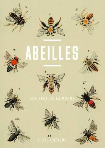 Abeilles - Les fées de la ruche Abeilles - Les fées de la ruche